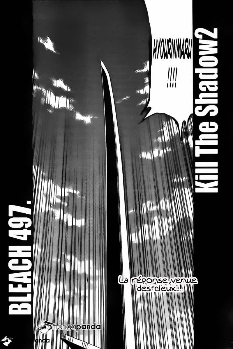Read Bleach FR Manga Online