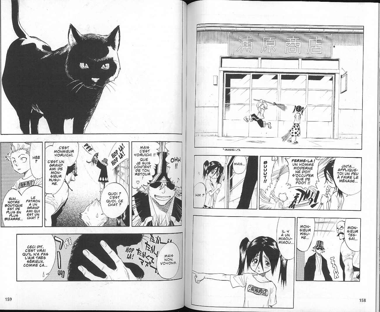 Read Bleach FR Manga Online
