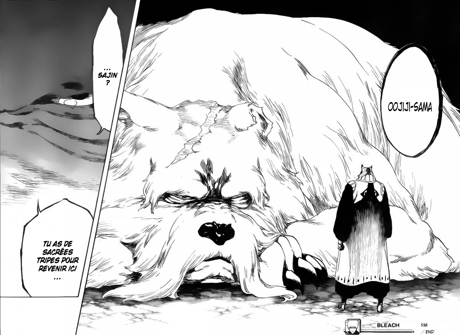 Read Bleach FR Manga Online