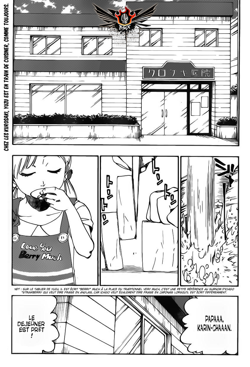 Read Bleach FR Manga Online