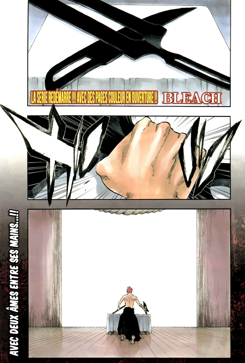 Read Bleach FR Manga Online