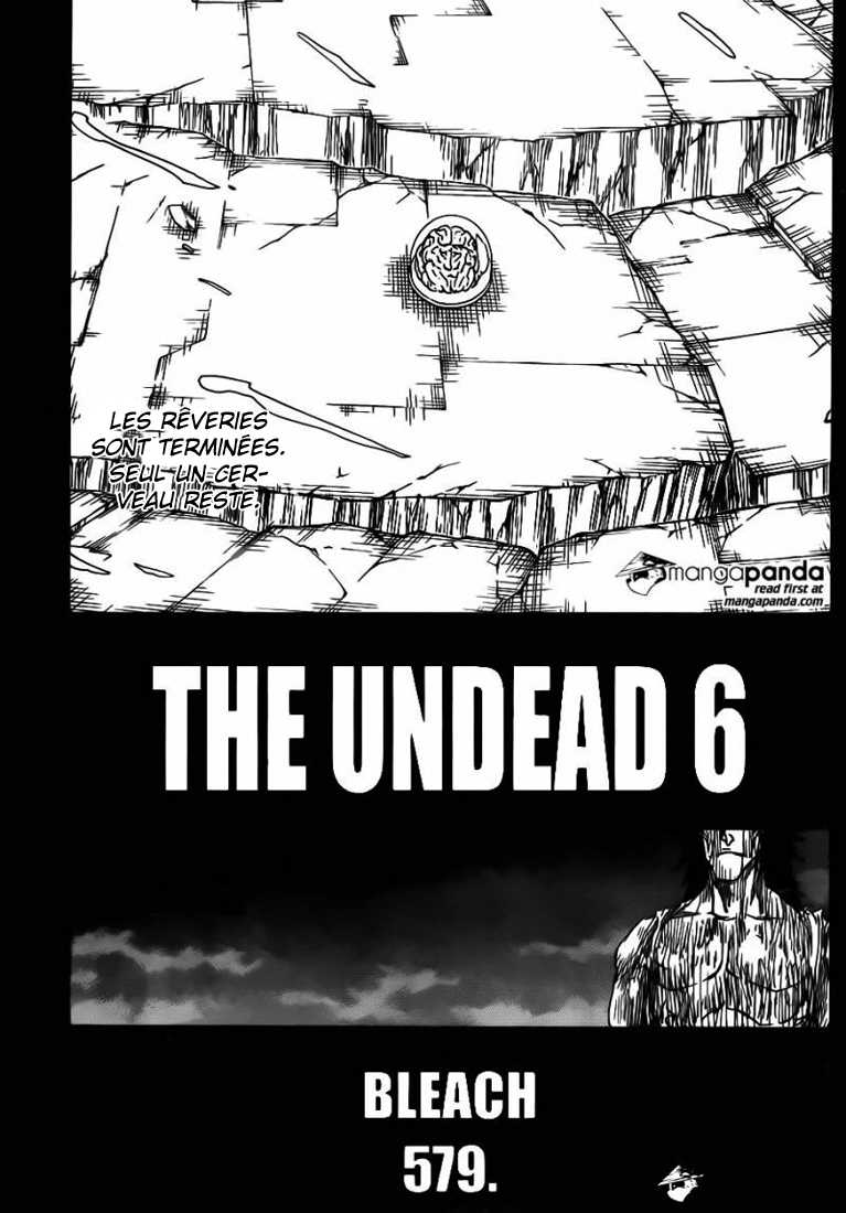 Read Bleach FR Manga Online