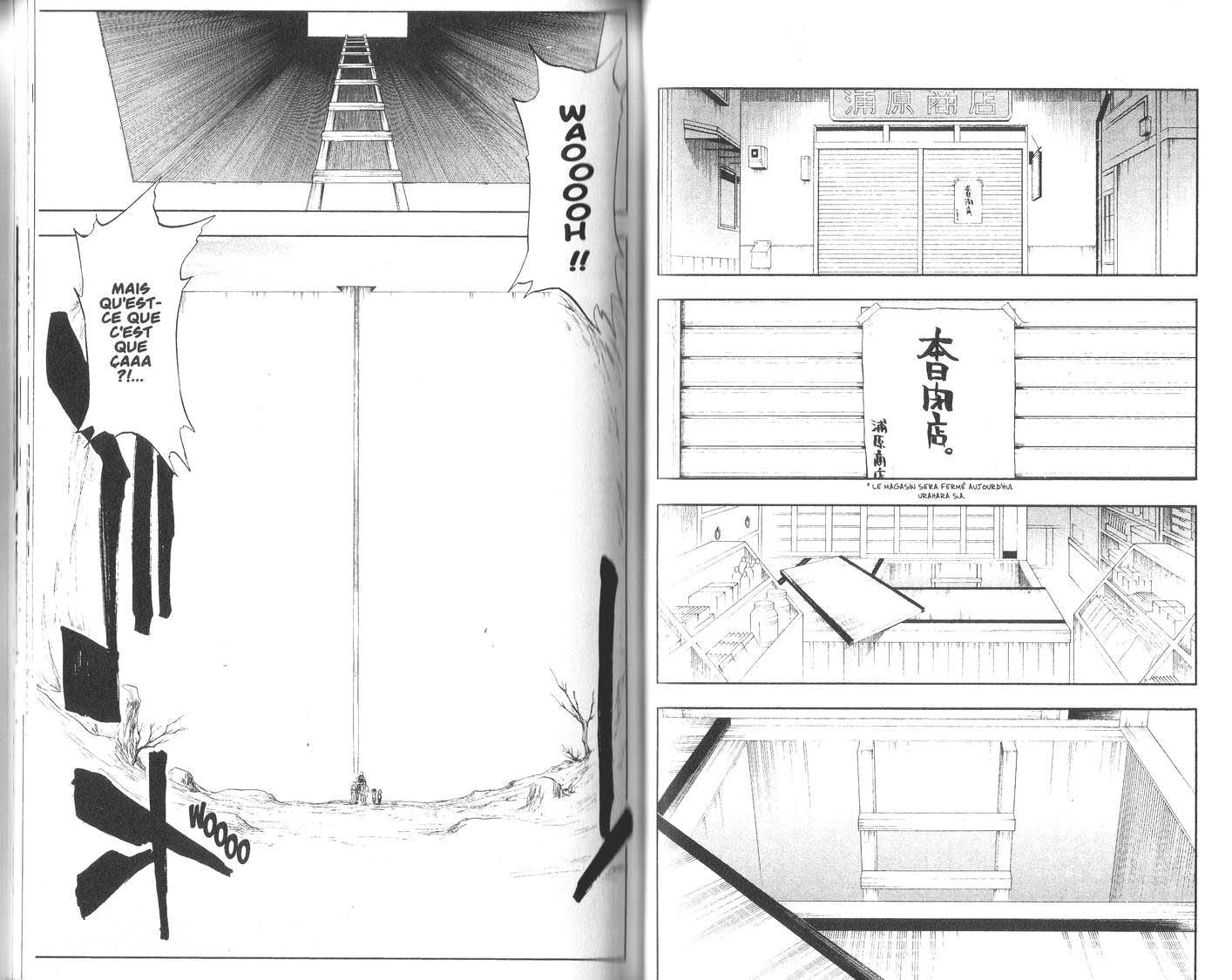 Read Bleach FR Manga Online