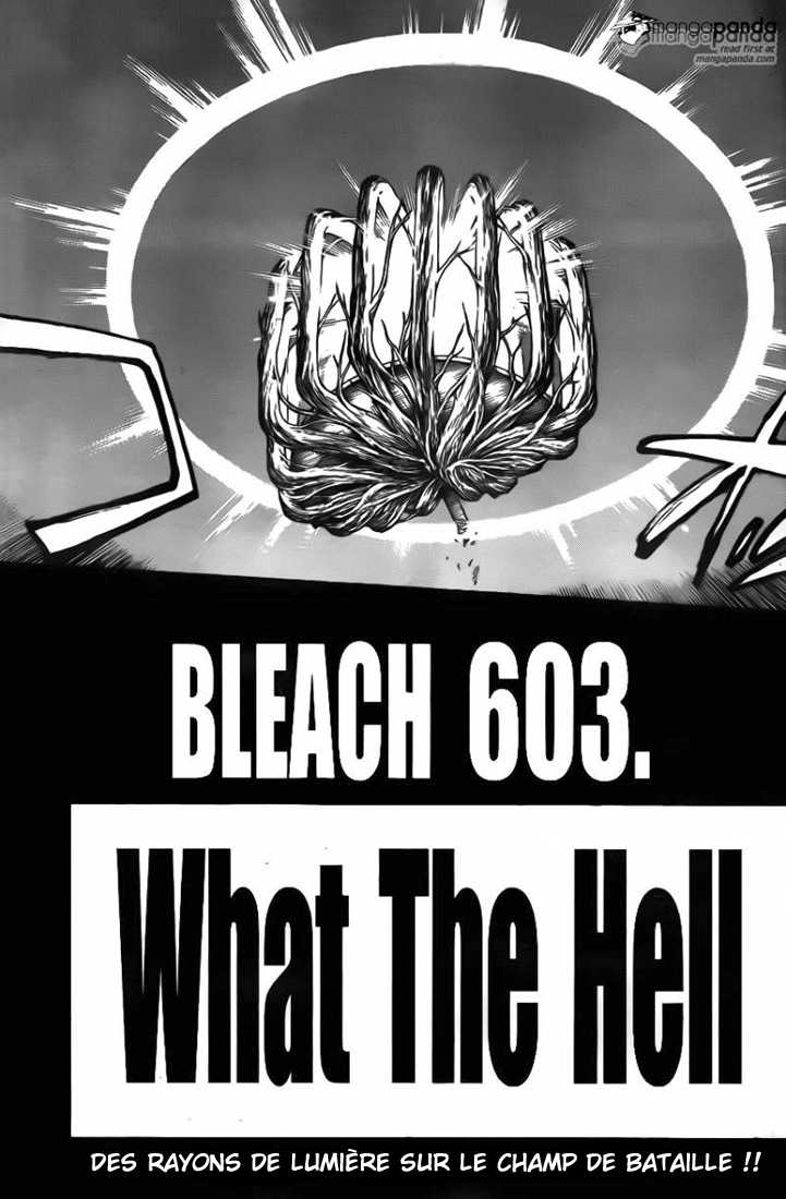 Read Bleach FR Manga Online