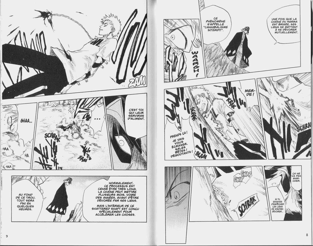 Read Bleach FR Manga Online