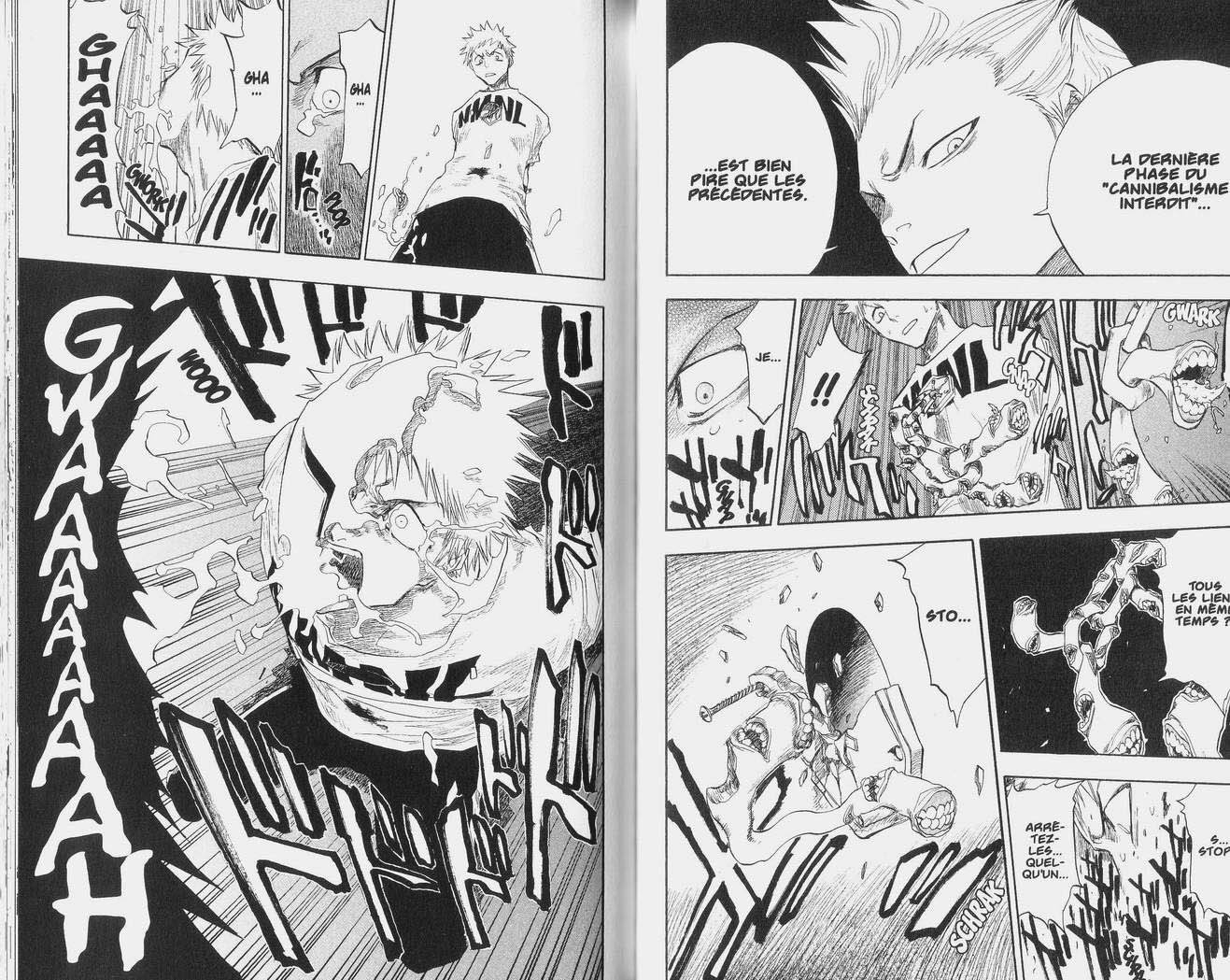 Read Bleach FR Manga Online