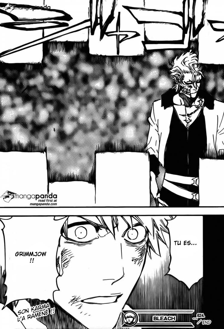 Read Bleach FR Manga Online