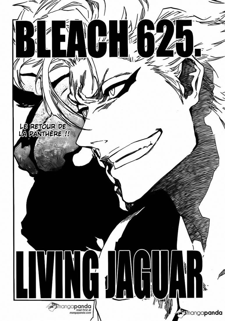 Read Bleach FR Manga Online