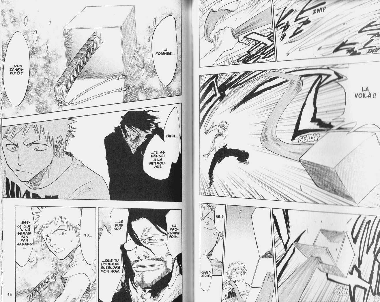 Read Bleach FR Manga Online