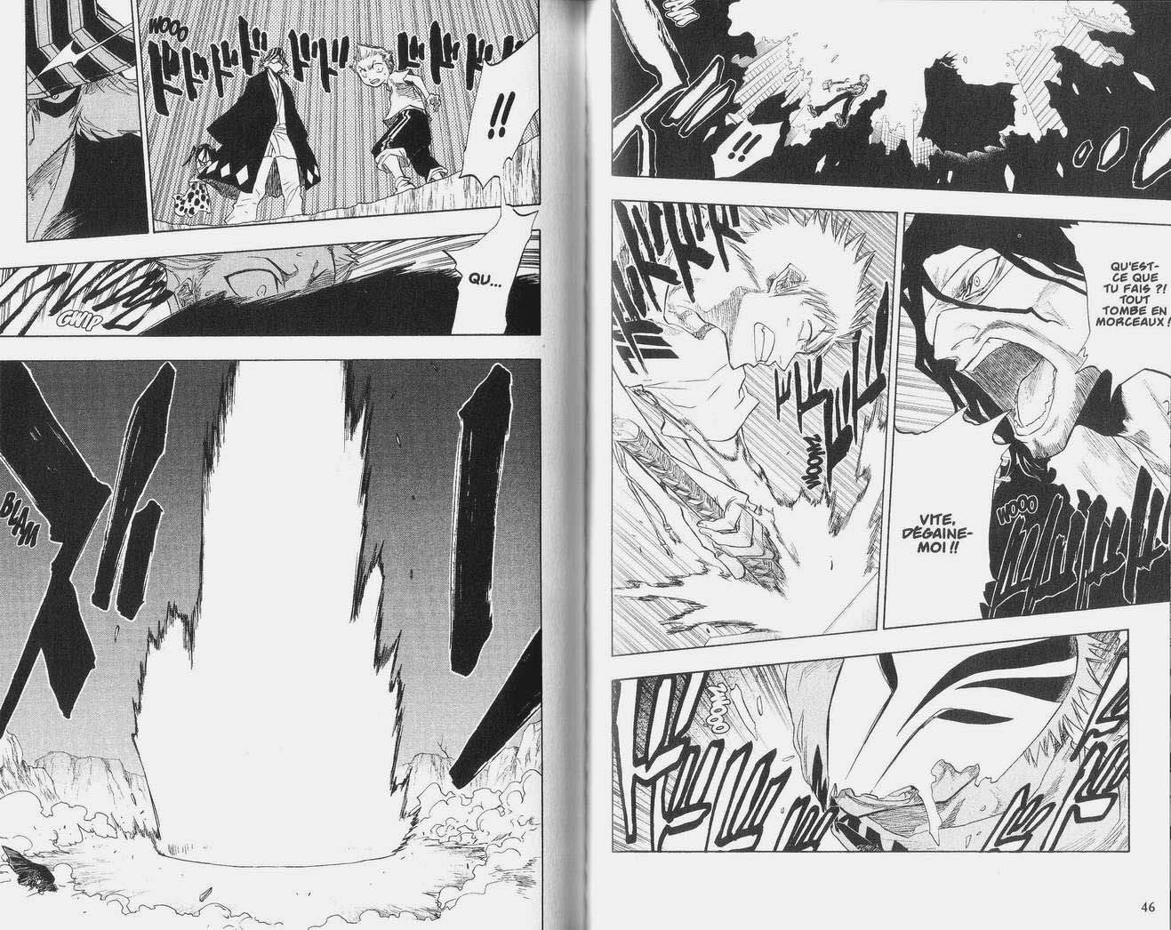 Read Bleach FR Manga Online