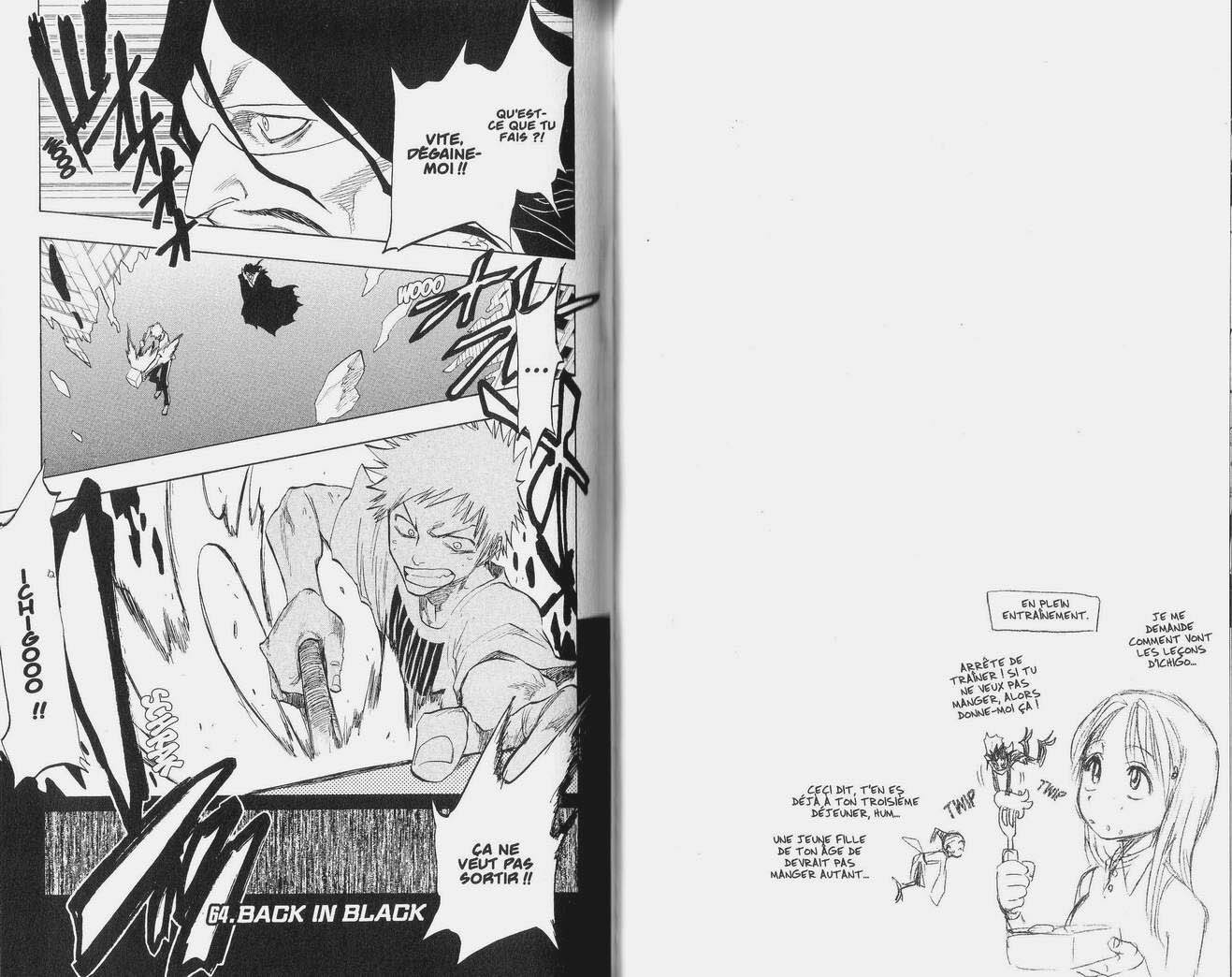 Read Bleach FR Manga Online