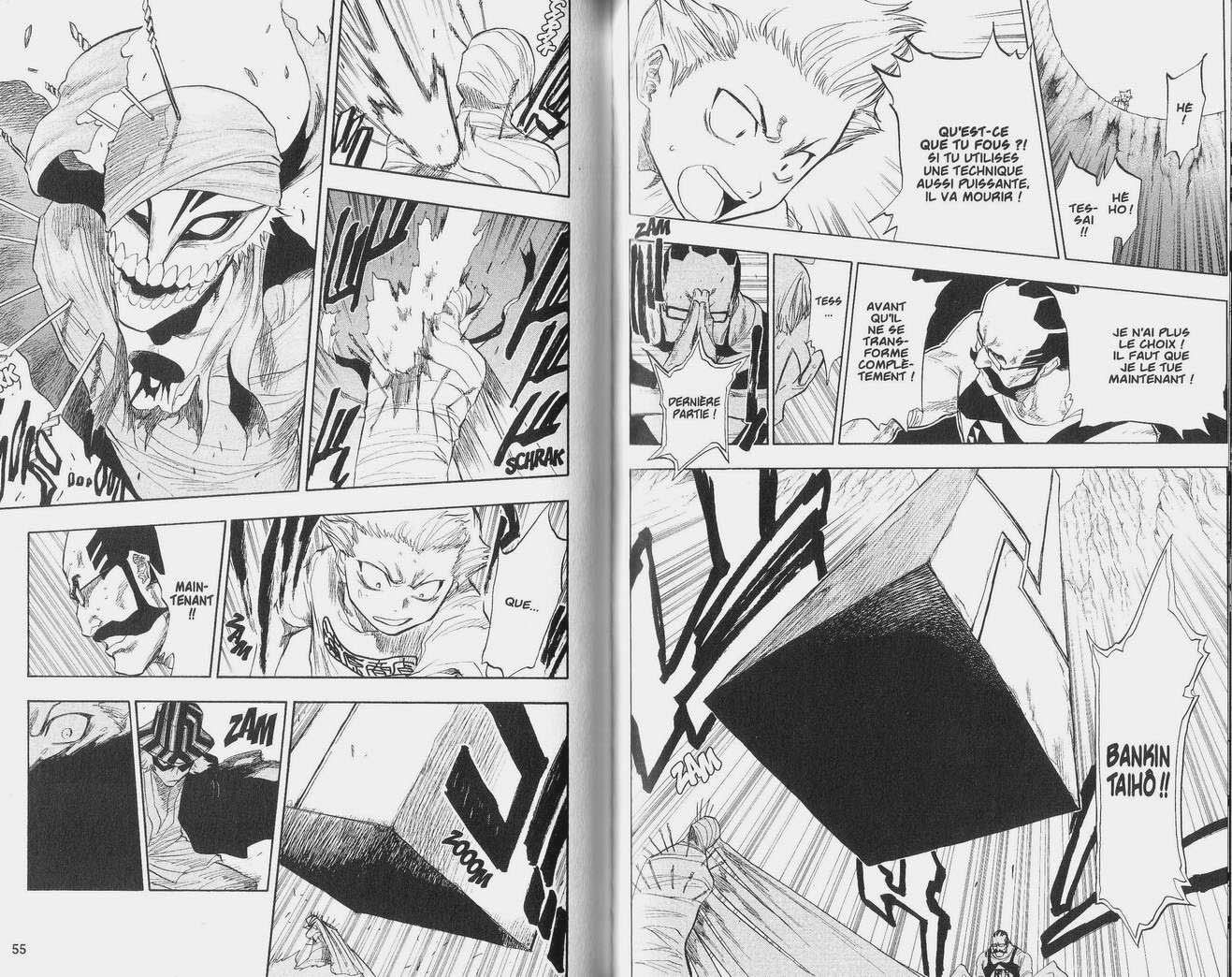 Read Bleach FR Manga Online