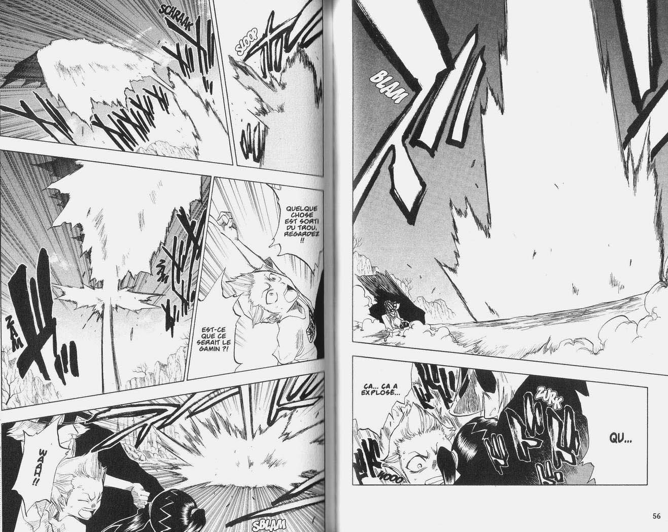 Read Bleach FR Manga Online