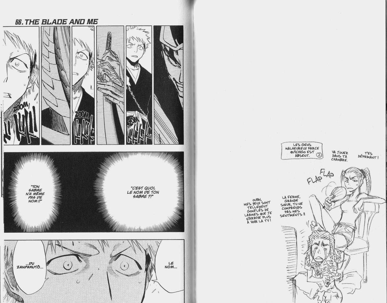 Read Bleach FR Manga Online