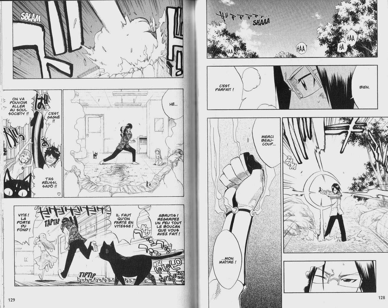 Read Bleach FR Manga Online