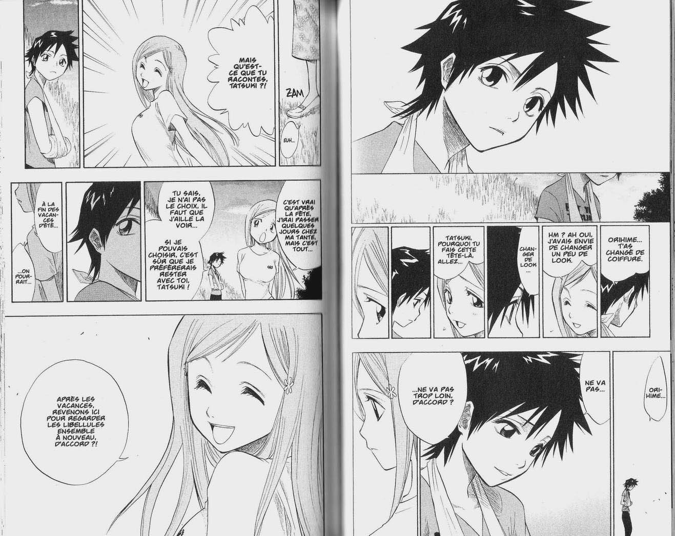 Read Bleach FR Manga Online