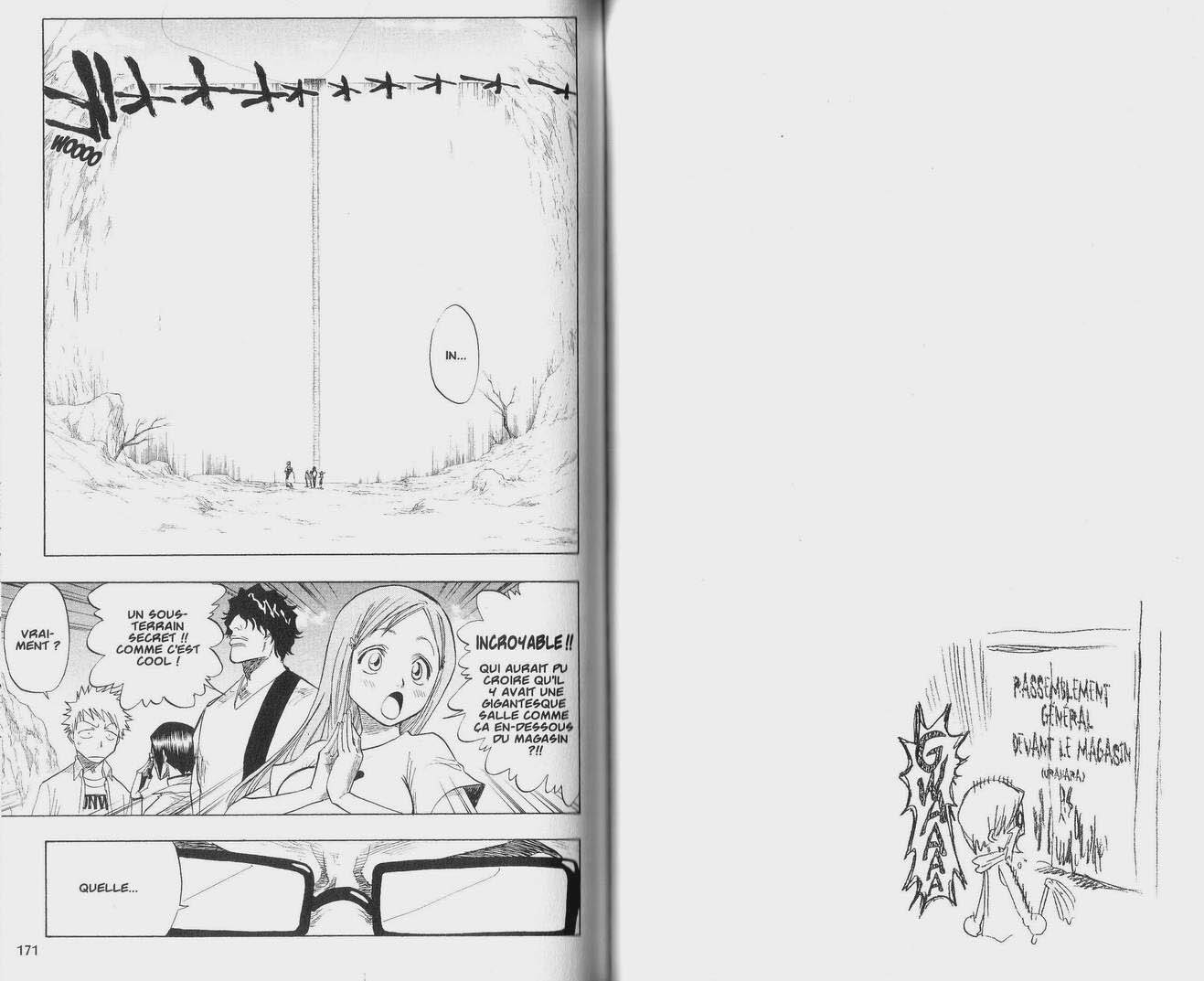 Read Bleach FR Manga Online