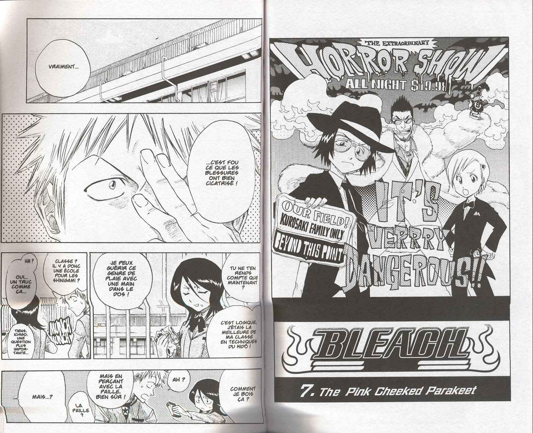 Read Bleach FR Manga Online