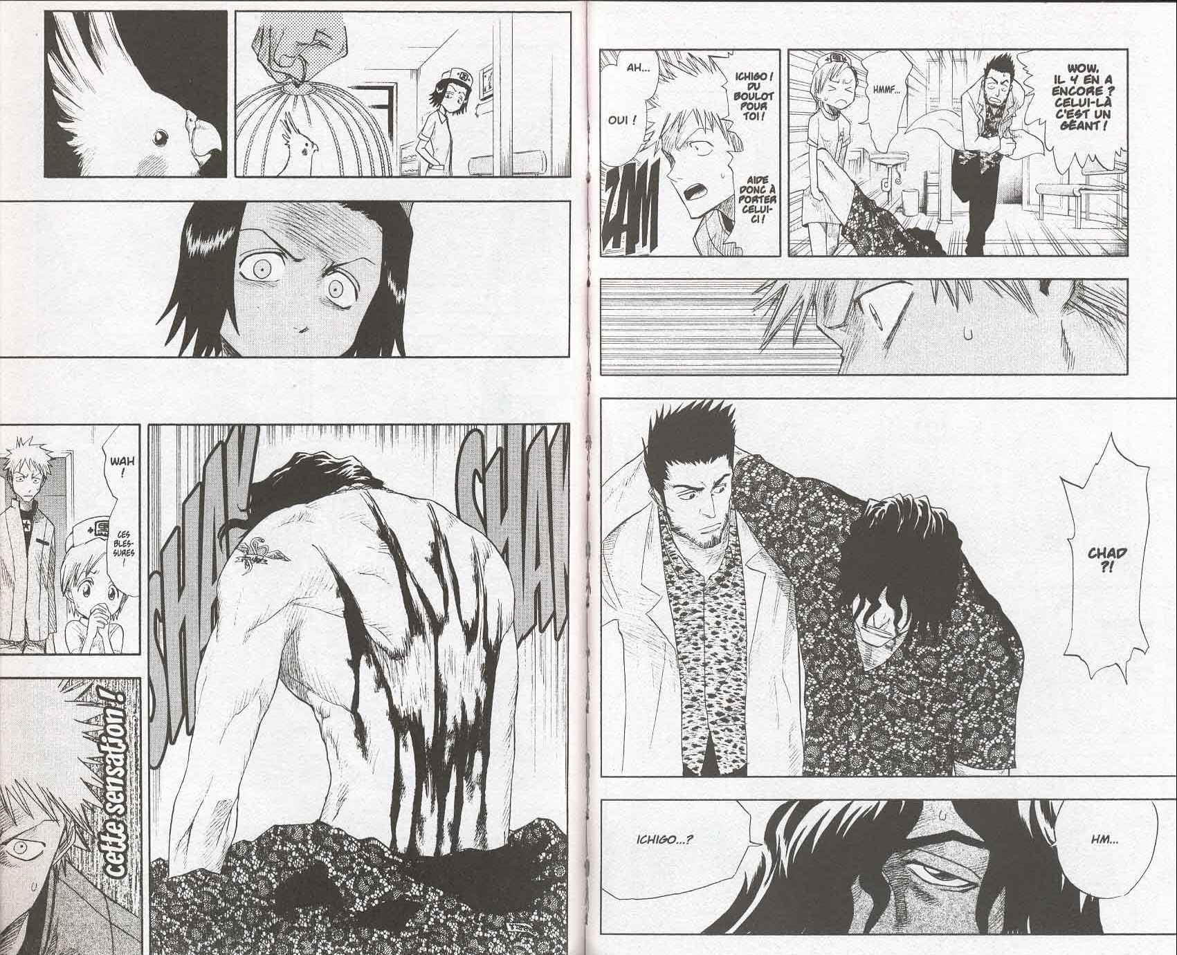 Read Bleach FR Manga Online