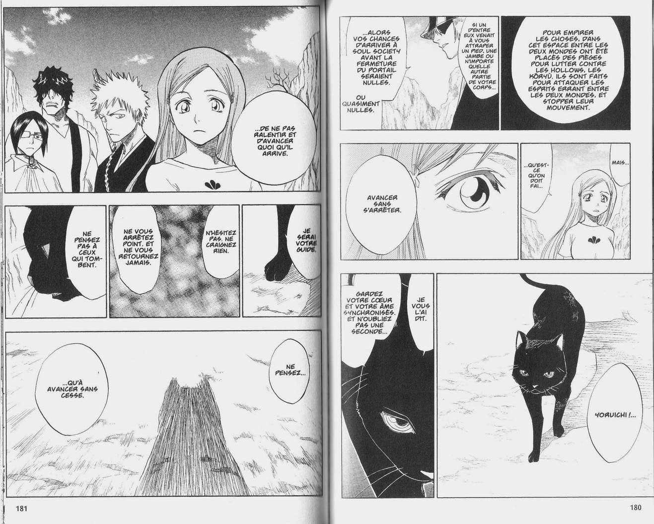 Read Bleach FR Manga Online