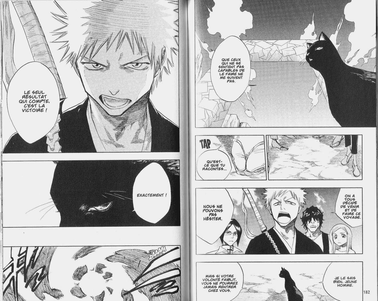 Read Bleach FR Manga Online