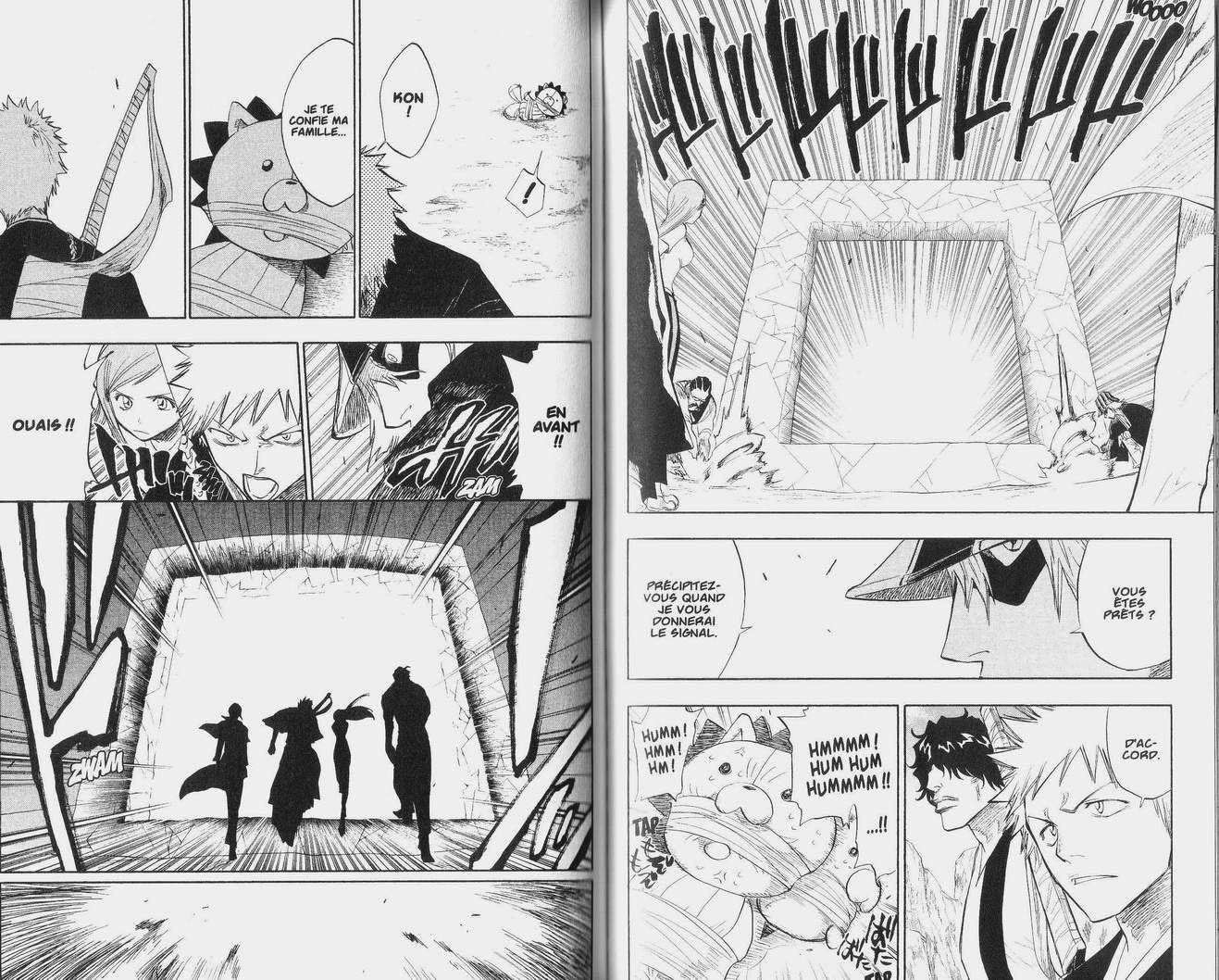 Read Bleach FR Manga Online