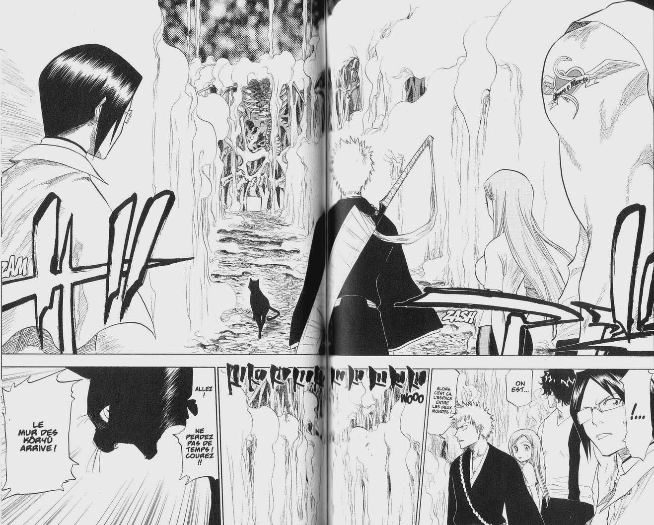 Read Bleach FR Manga Online