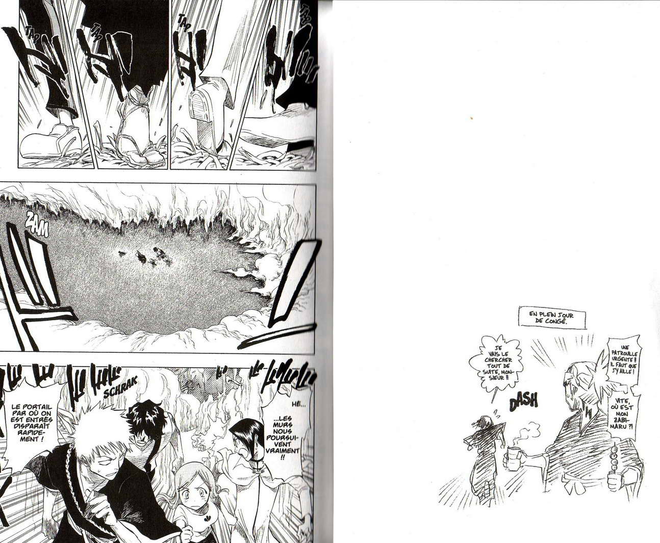Read Bleach FR Manga Online