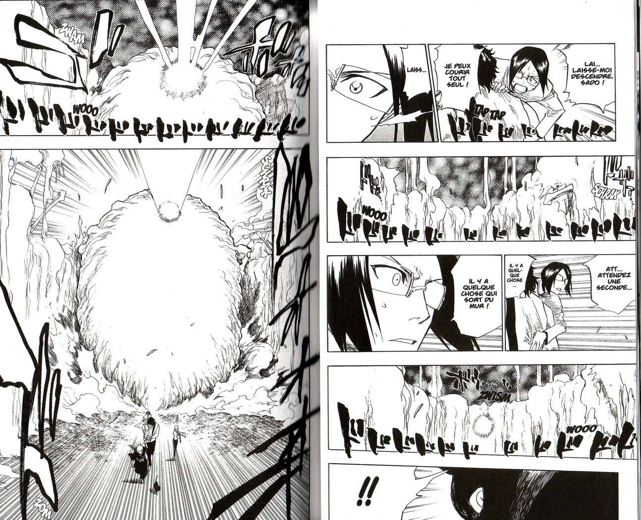 Read Bleach FR Manga Online