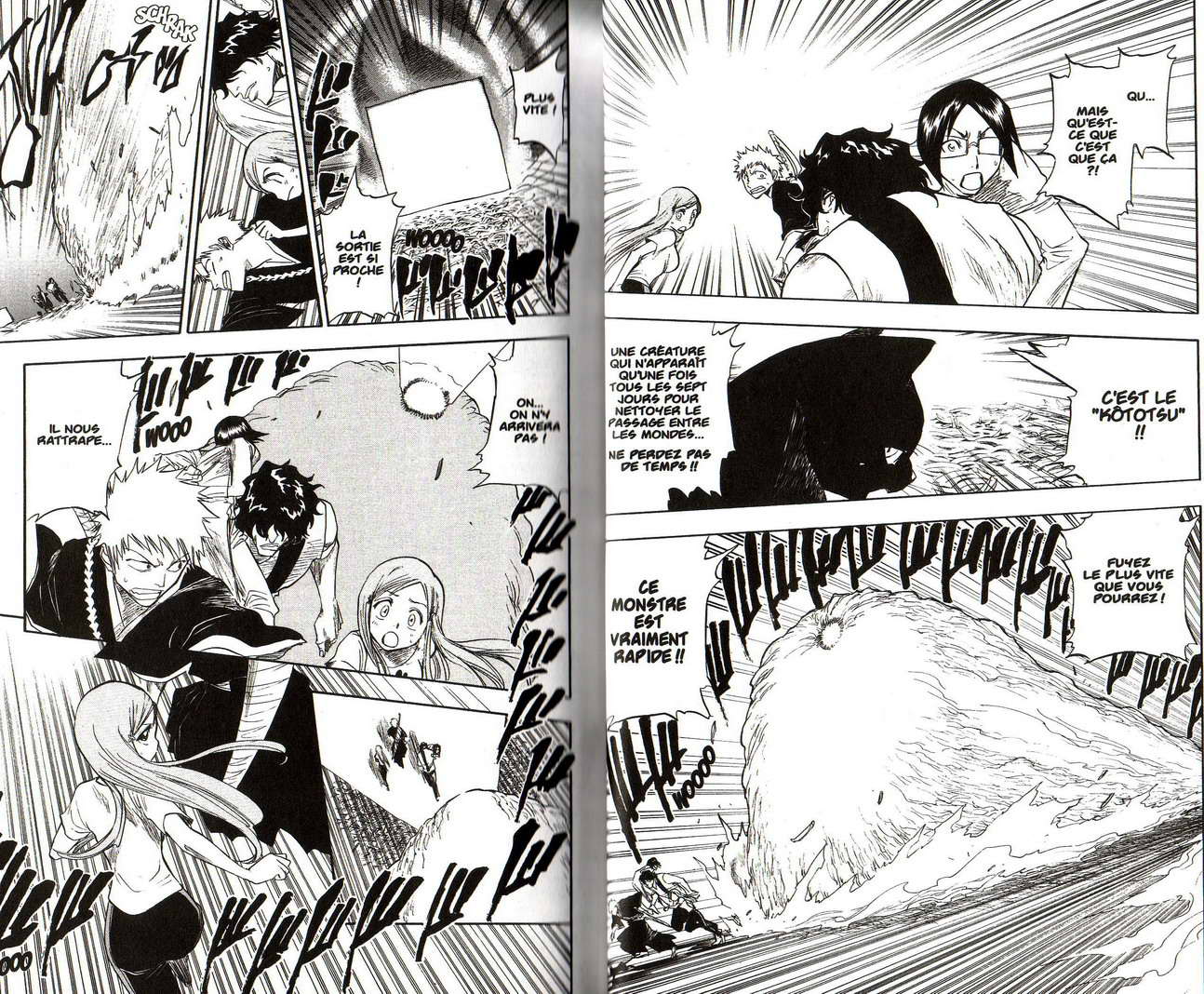 Read Bleach FR Manga Online