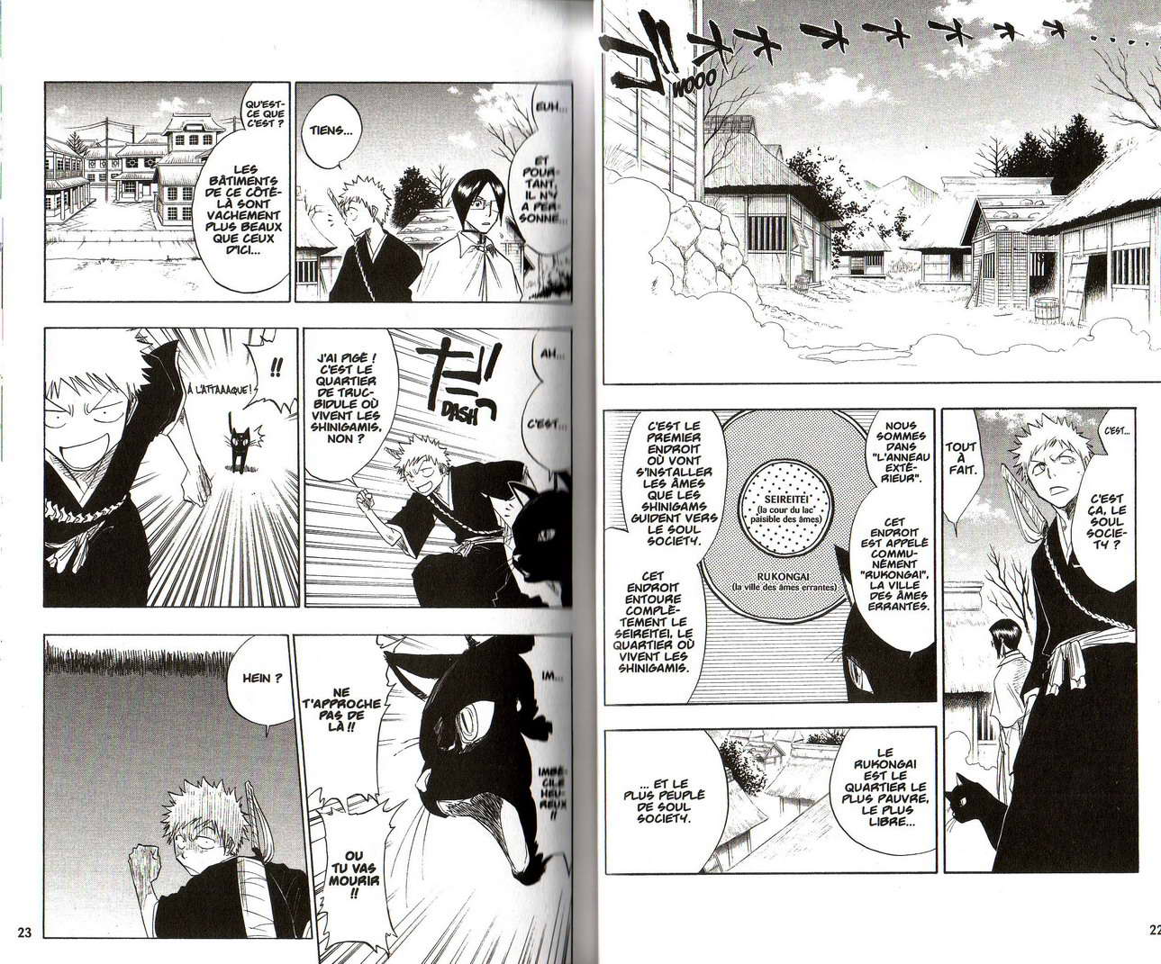 Read Bleach FR Manga Online