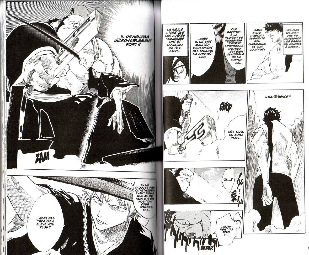 Read Bleach FR Manga Online