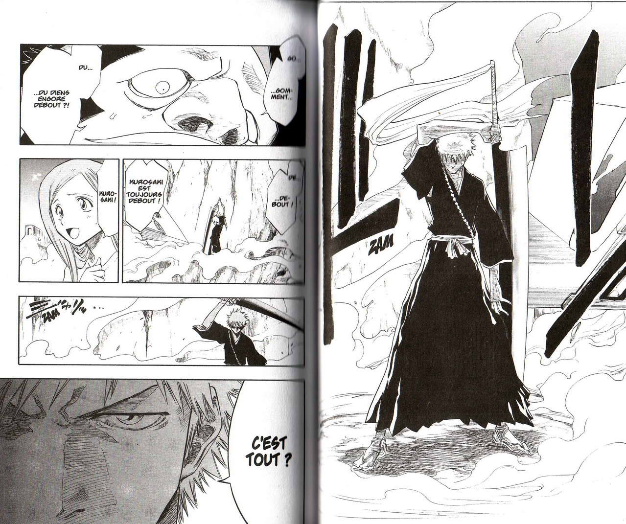 Read Bleach FR Manga Online