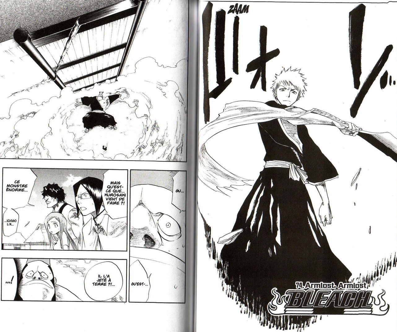 Read Bleach FR Manga Online
