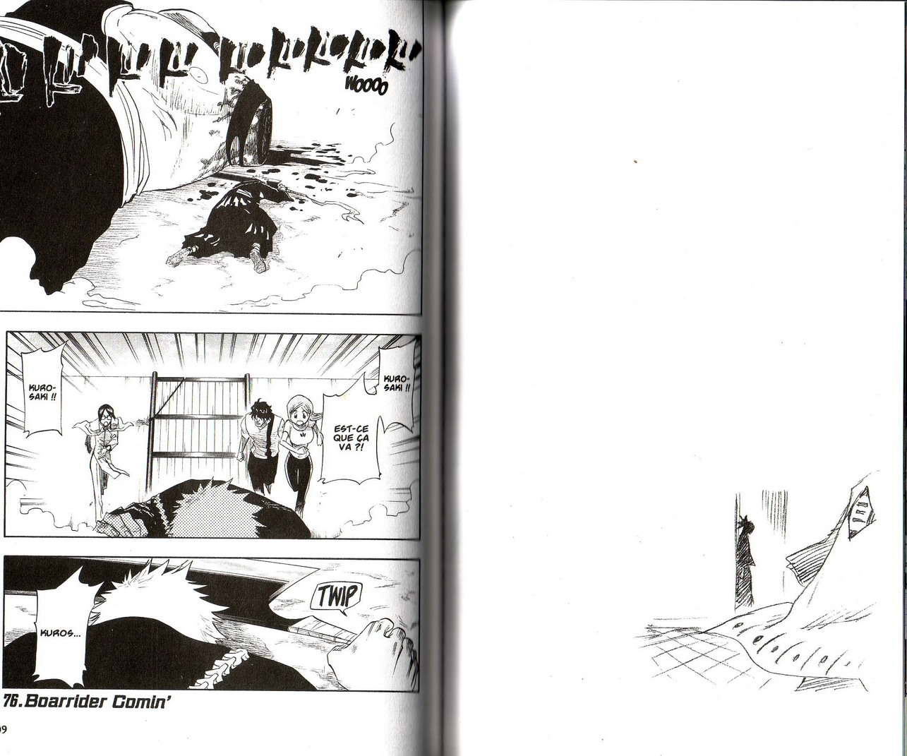 Read Bleach FR Manga Online
