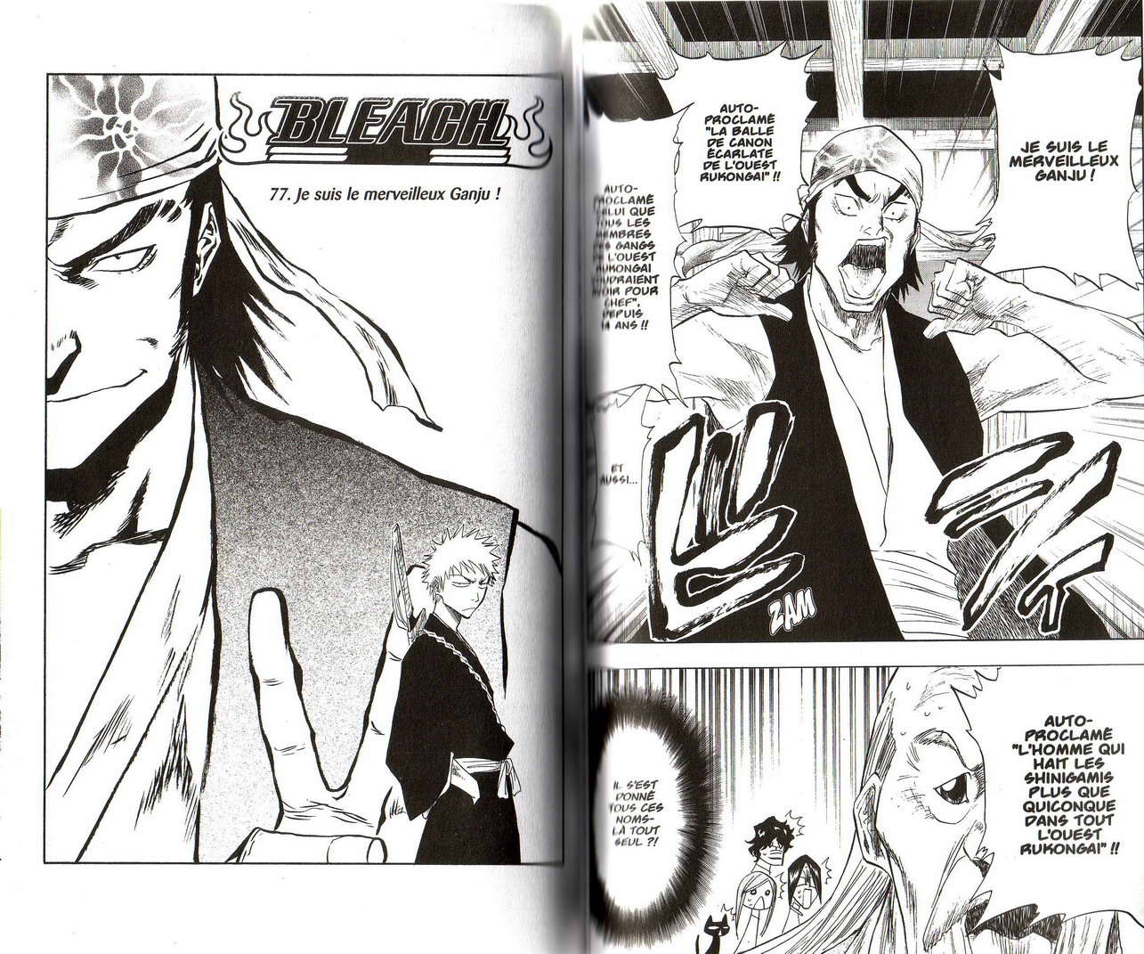 Read Bleach FR Manga Online