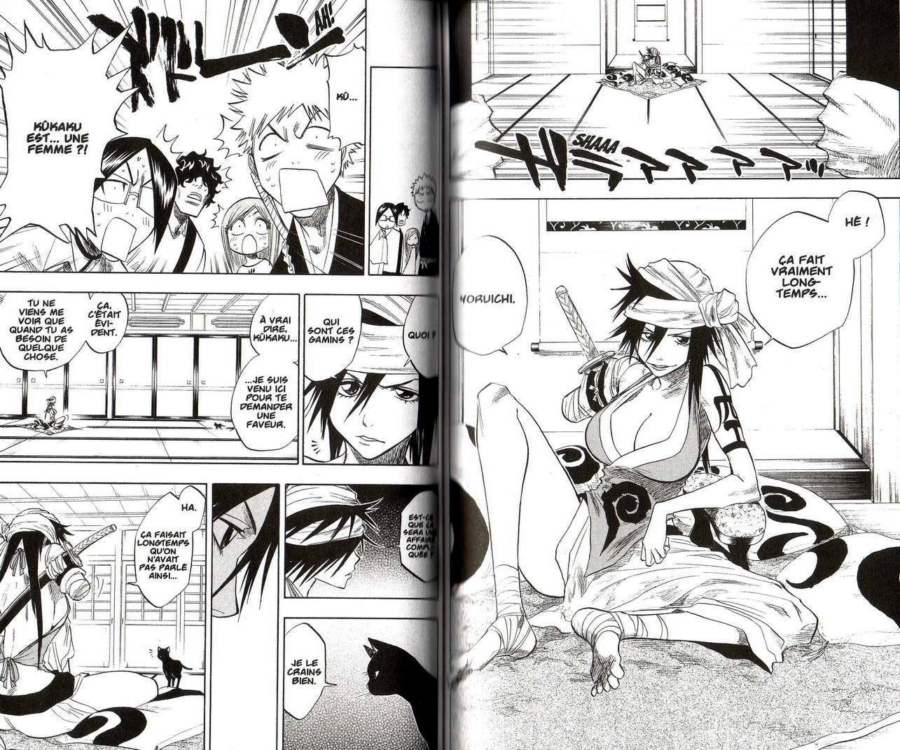 Read Bleach FR Manga Online