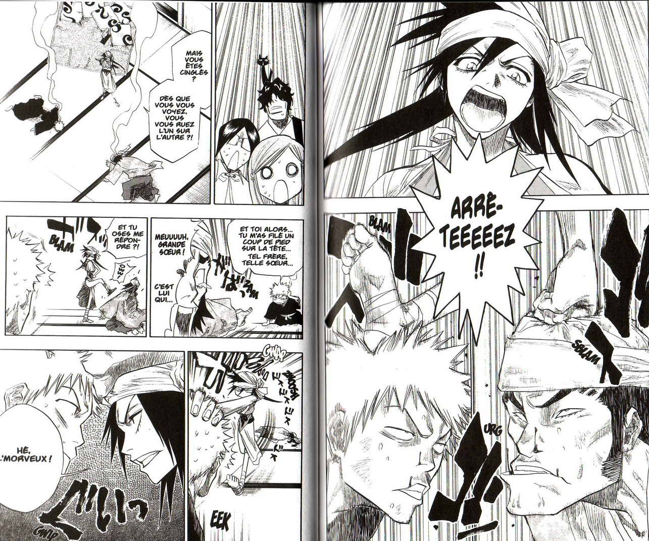 Read Bleach FR Manga Online
