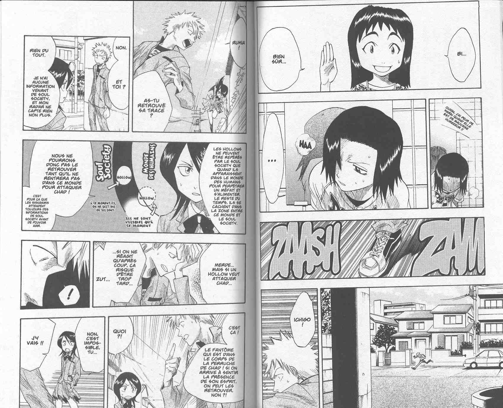 Read Bleach FR Manga Online
