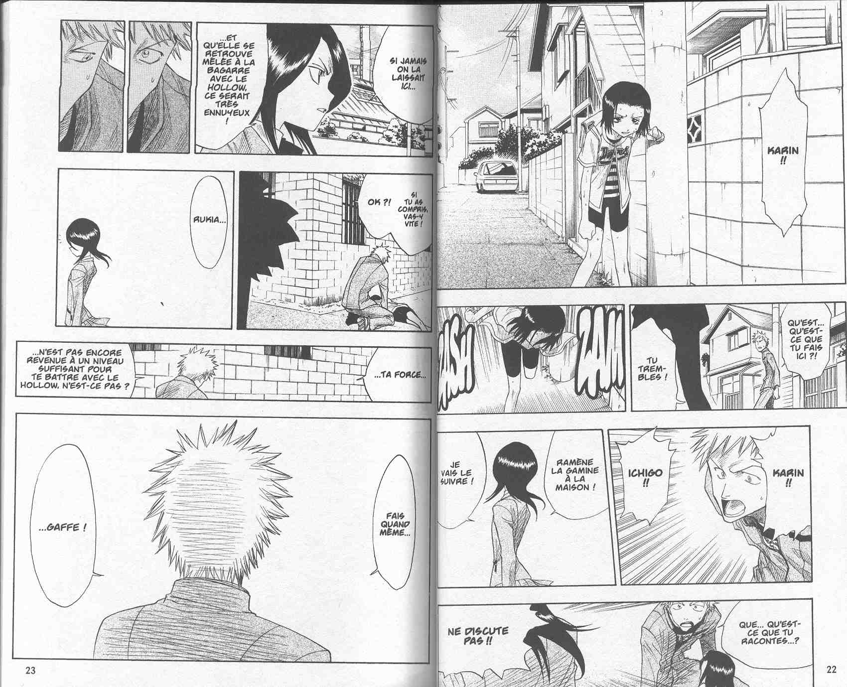 Read Bleach FR Manga Online