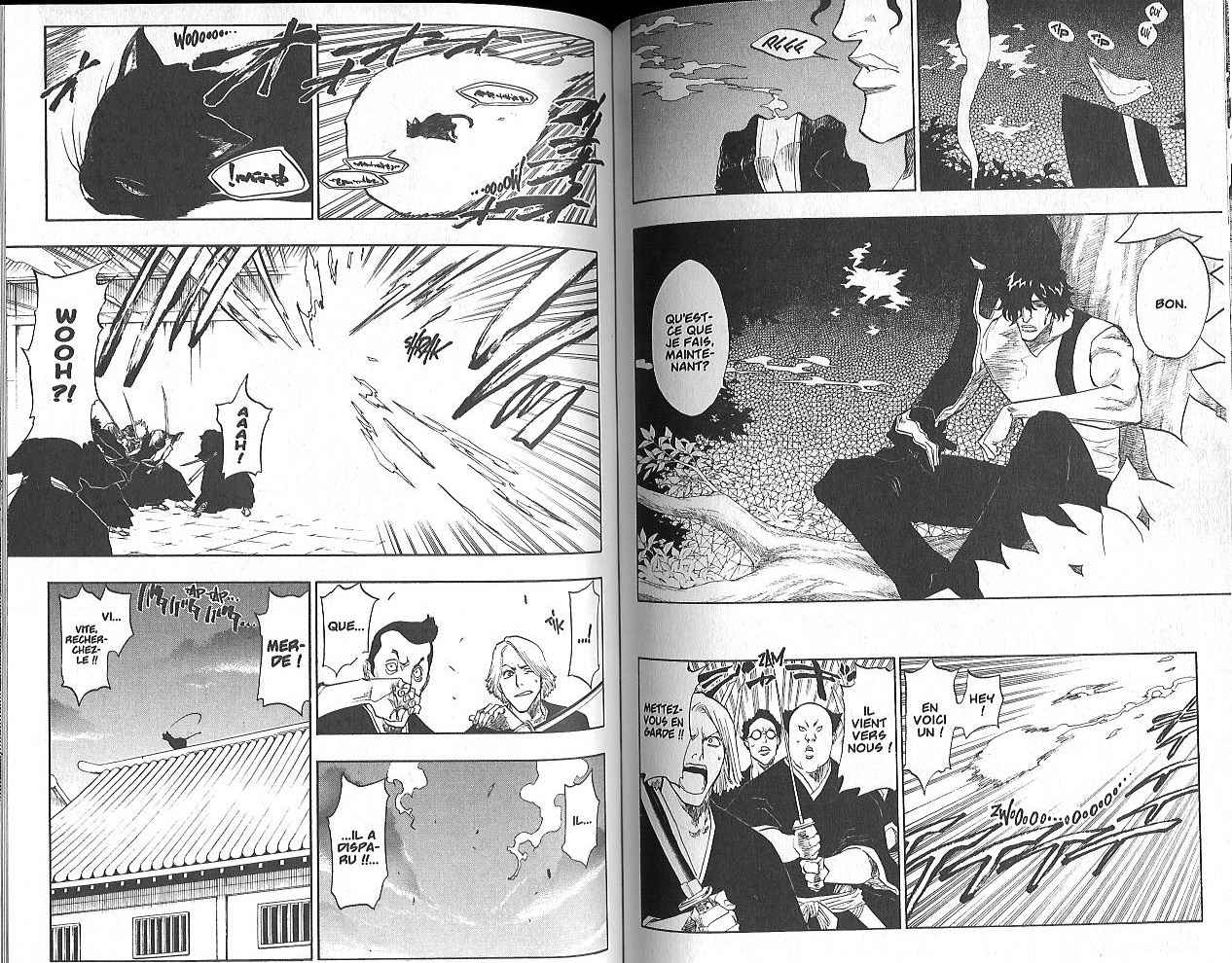 Read Bleach FR Manga Online
