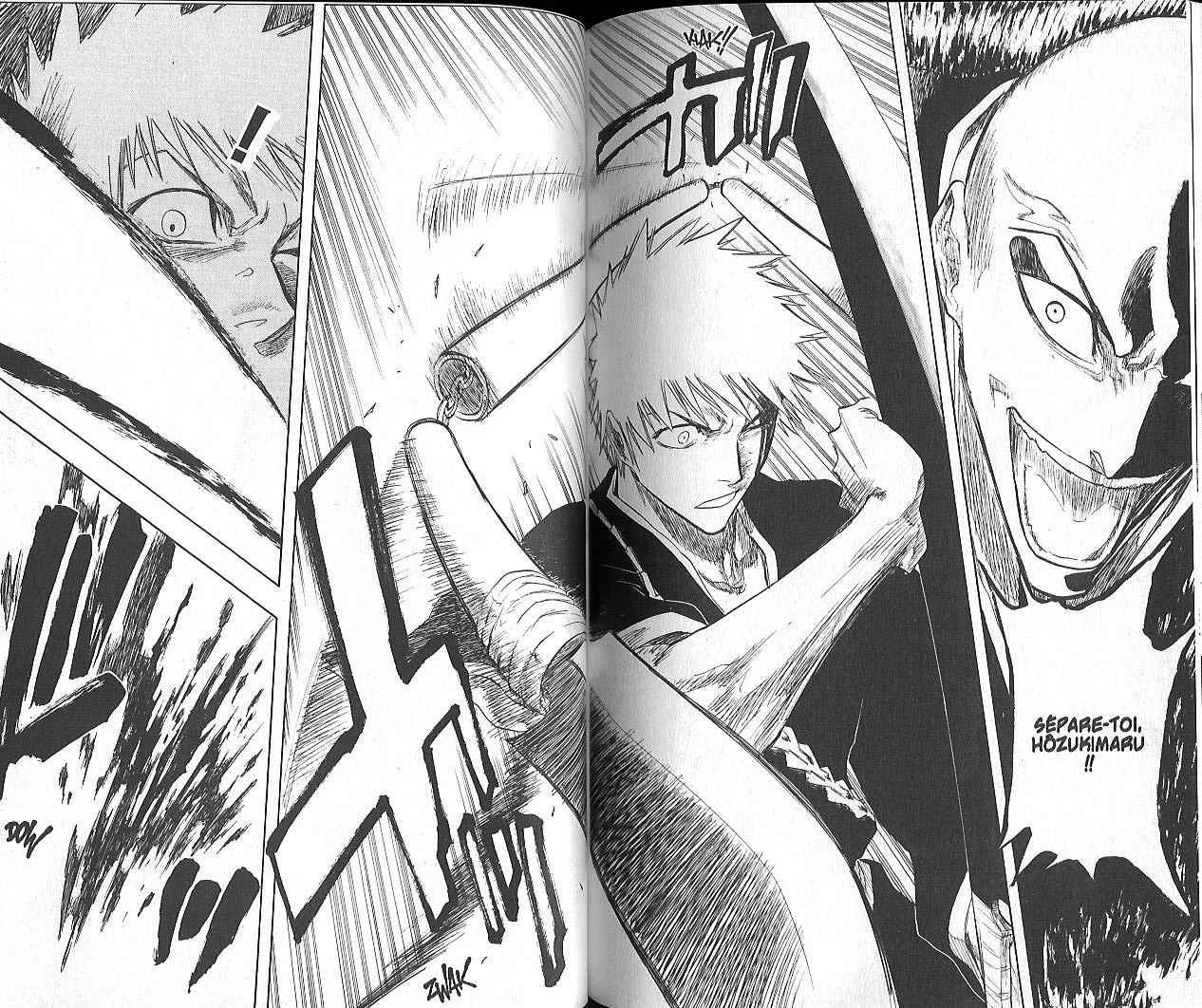 Read Bleach FR Manga Online