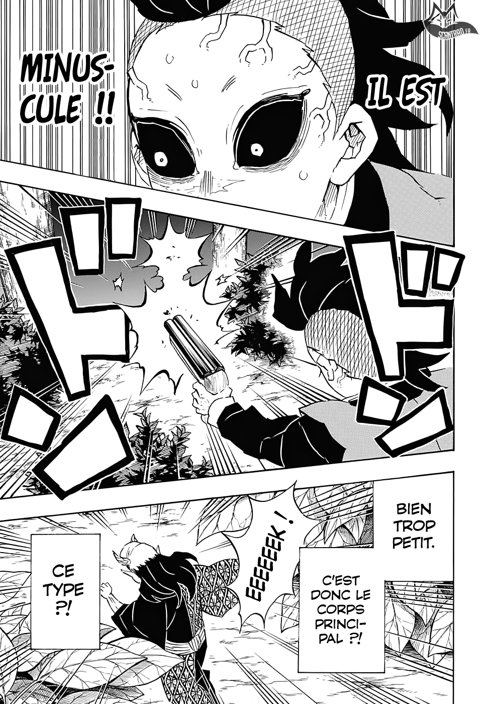 Read Demon Slayer Kimetsu no Yaiba FR Manga Online
