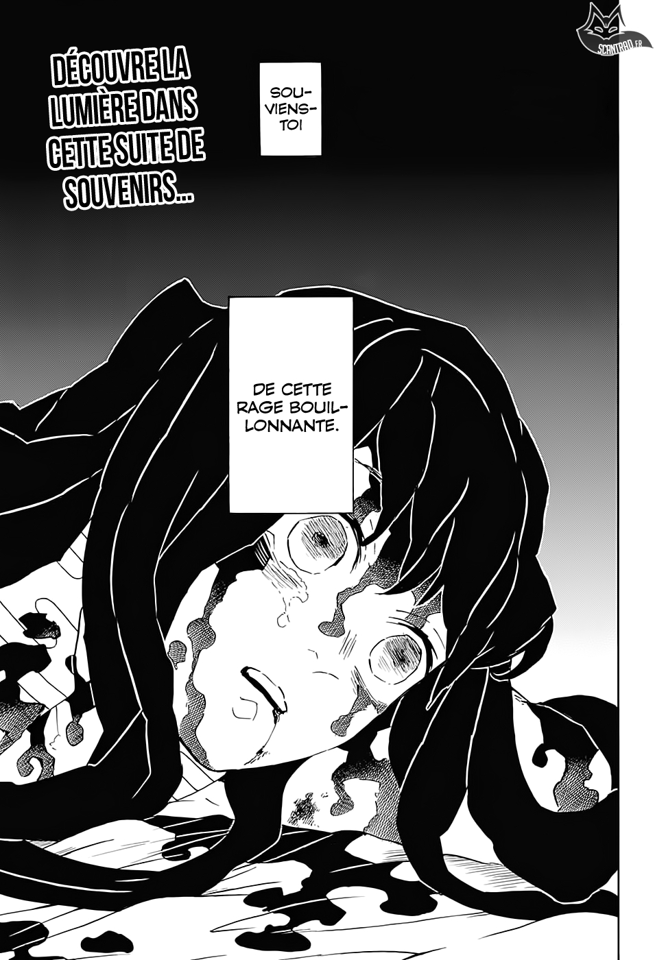 Read Demon Slayer Kimetsu no Yaiba FR Manga Online