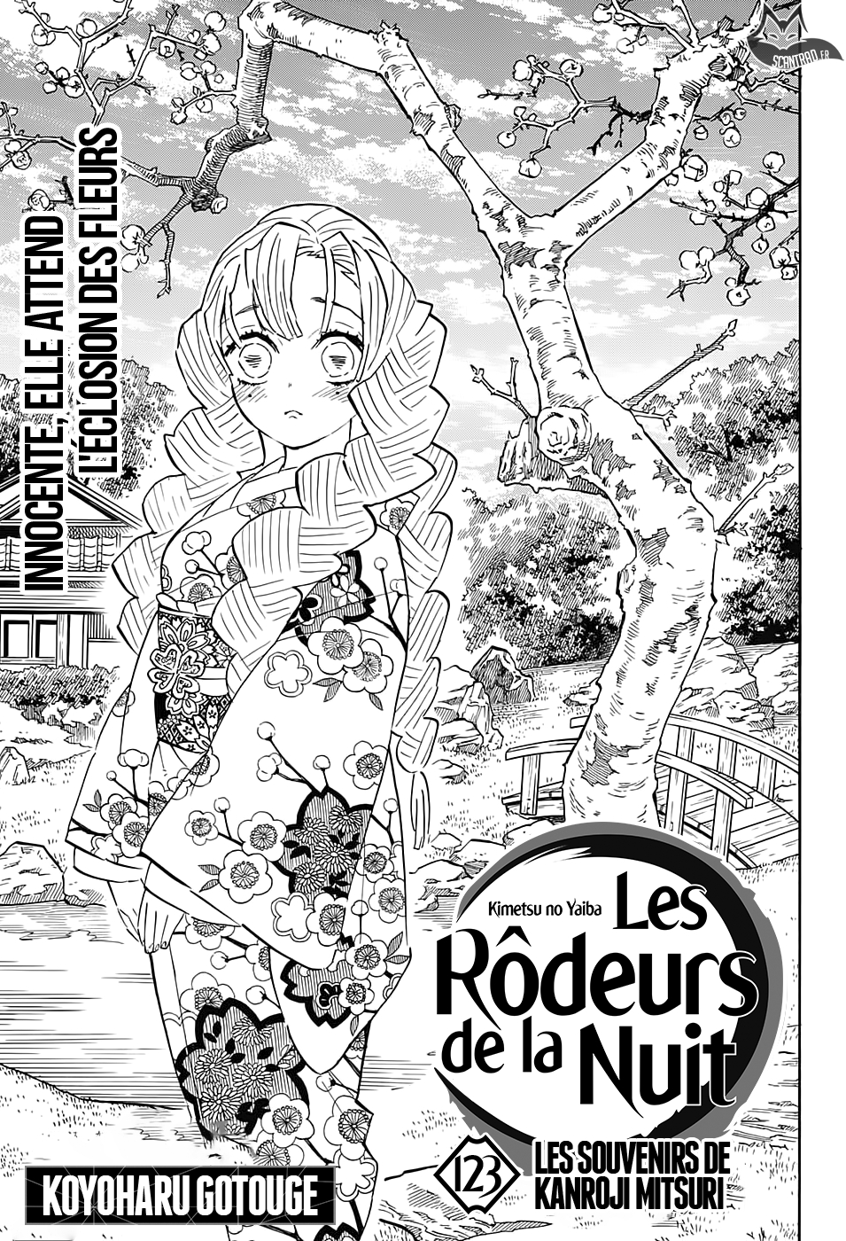 Read Demon Slayer Kimetsu no Yaiba FR Manga Online