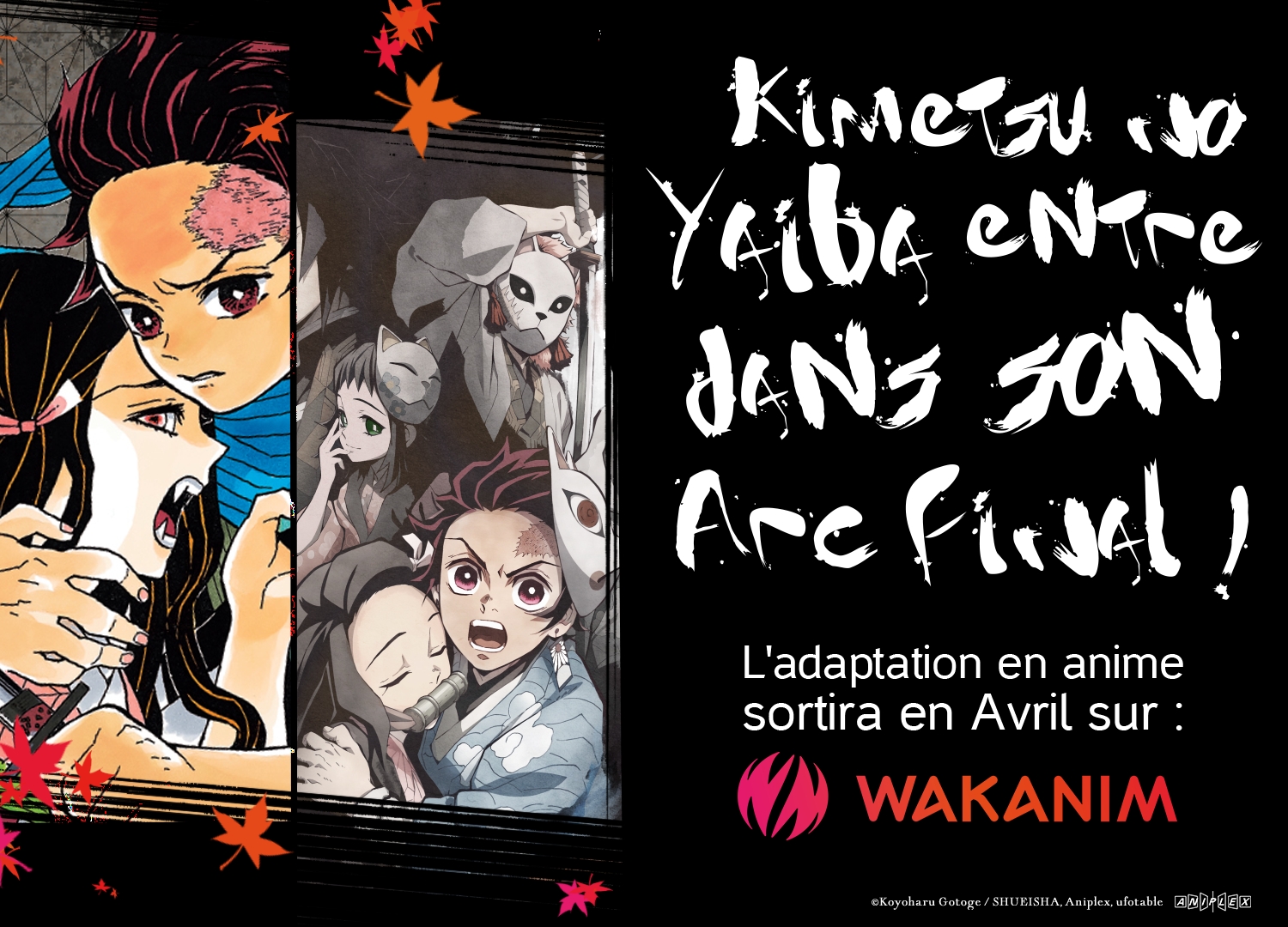 Read Demon Slayer Kimetsu no Yaiba FR Manga Online