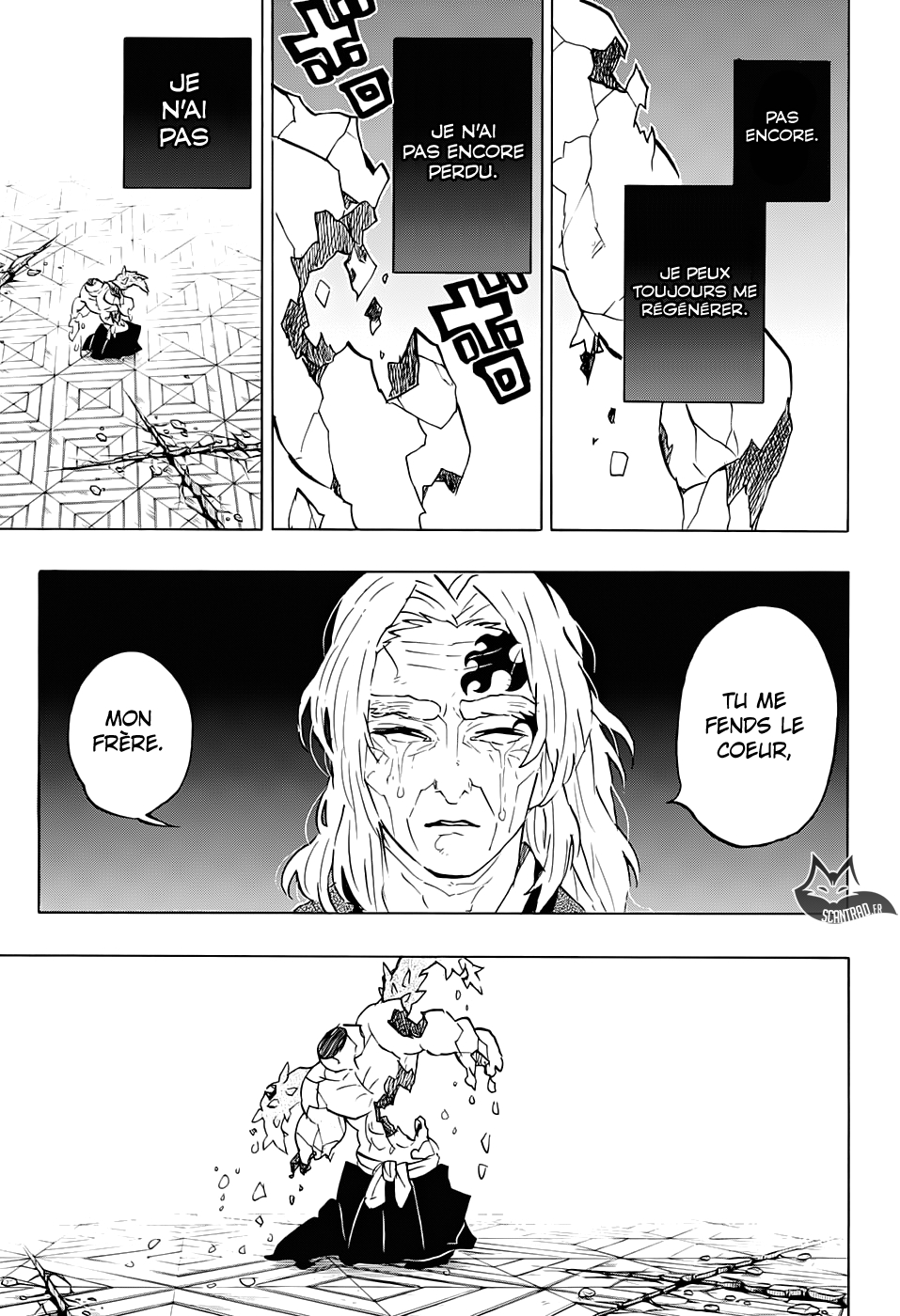 Read Demon Slayer Kimetsu no Yaiba FR Manga Online