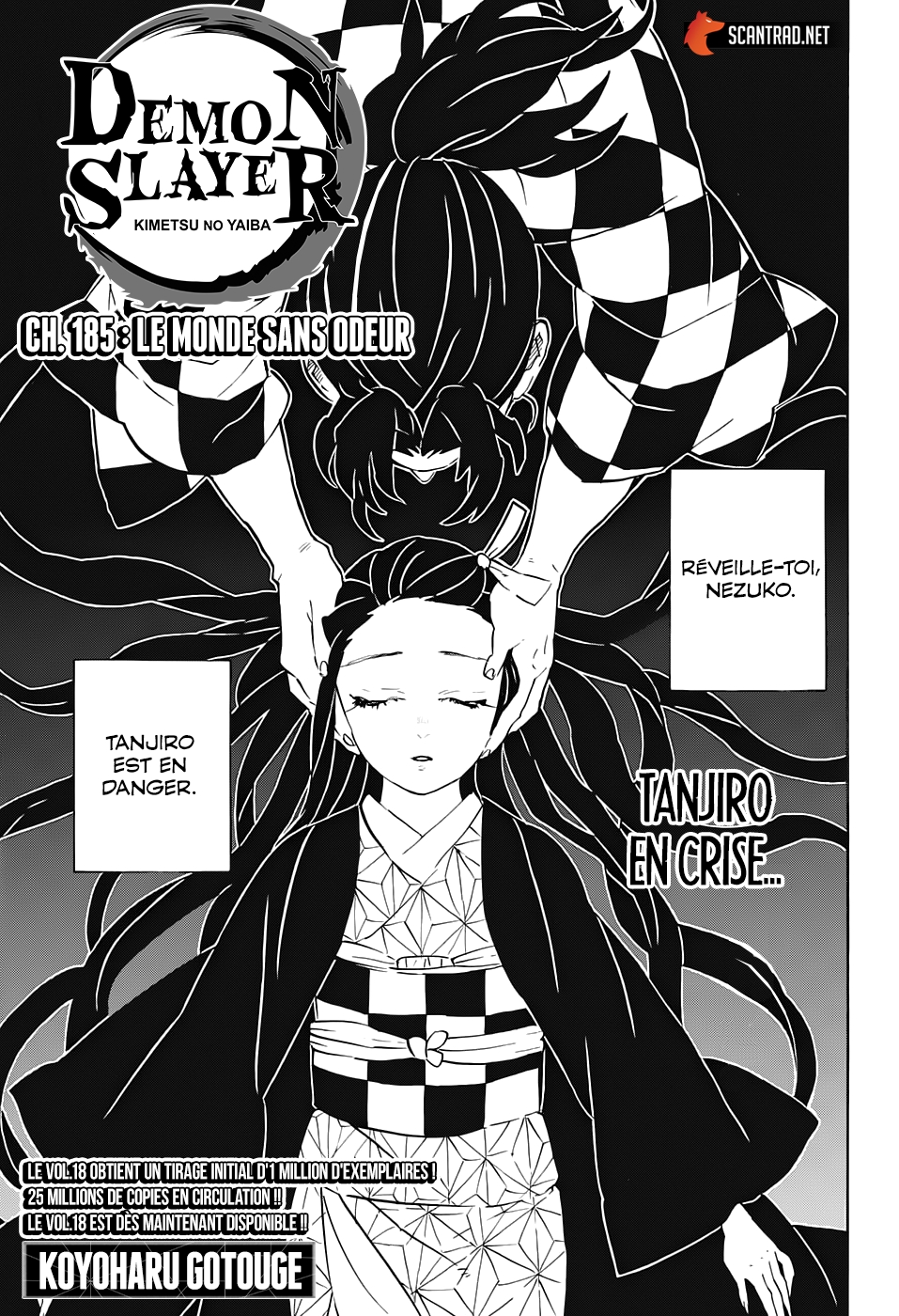 Read Demon Slayer Kimetsu no Yaiba FR Manga Online