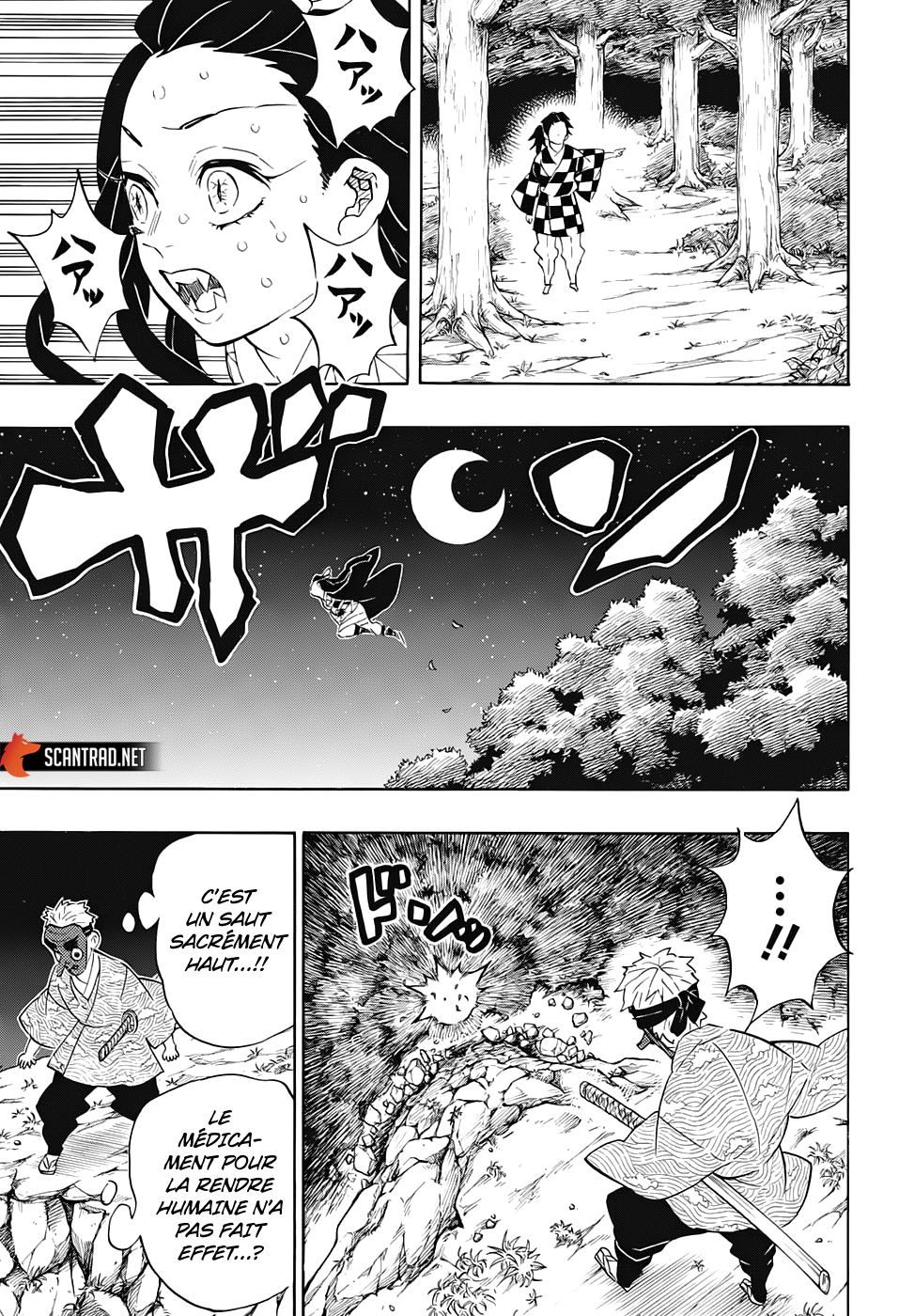 Read Demon Slayer Kimetsu no Yaiba FR Manga Online