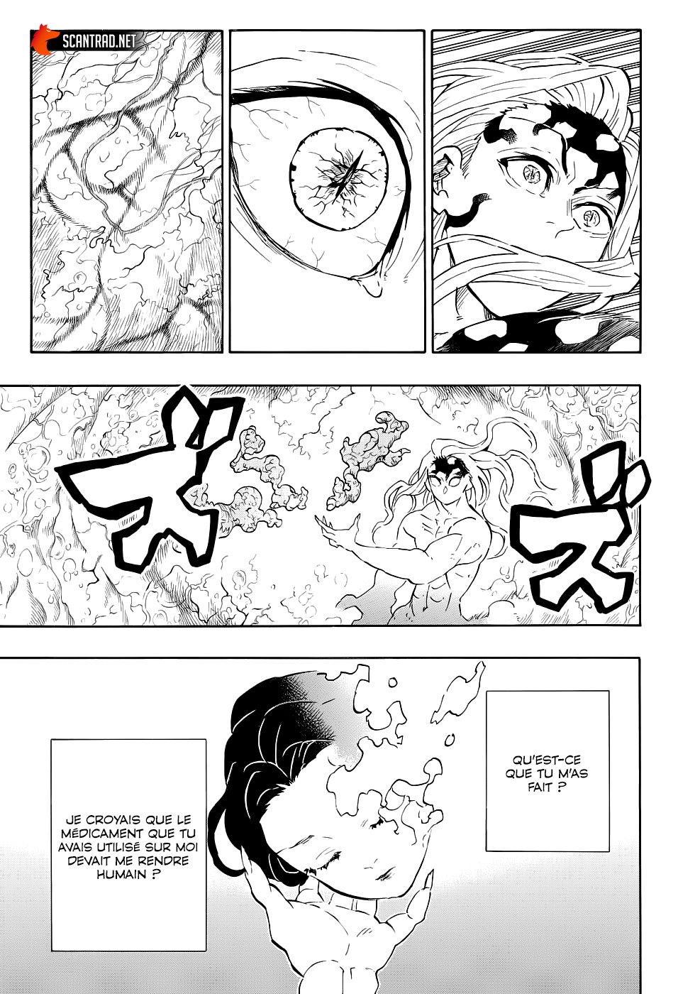 Read Demon Slayer Kimetsu no Yaiba FR Manga Online